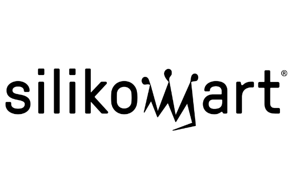 Logo Partner